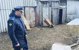 �������