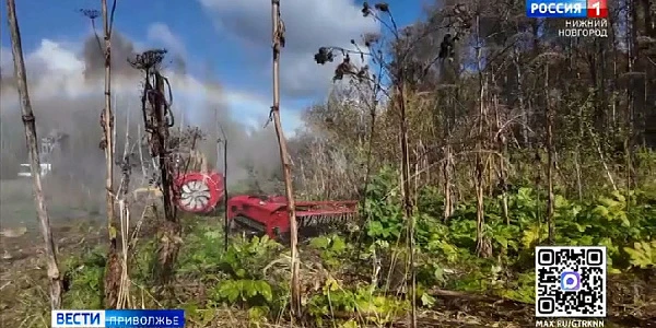 ������ ������ ��������� �����������