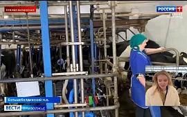 Новость