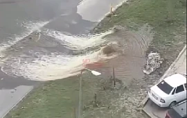 �������