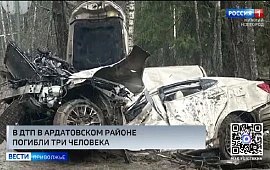 � ����������� ������ ������� 3 ��������