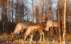 �������