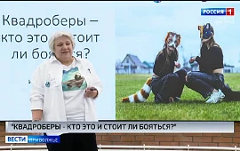 Новость