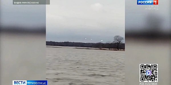 ����������, ����������� ������� �� ������ ���������� ������������� �� ������������ ������