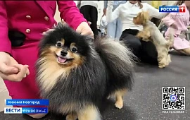 �������