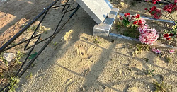 � ����� ������� ����� ���������� �������� 