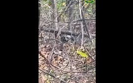 �������
