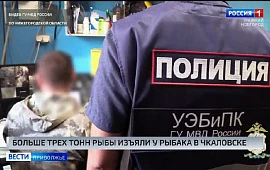 Новость